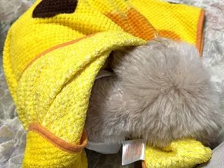 寒くなってきました♪