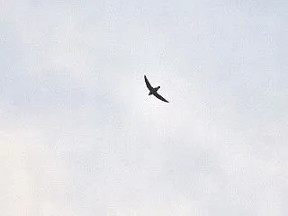 AM６：００