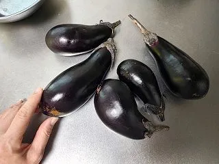 茄子とカボチャ 今季最後の収穫