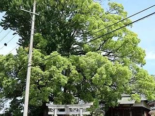 大越鷲神社 加須市大越