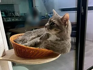 溢れてます