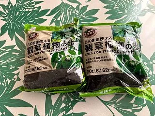 父の想いを継ぐ植物ケア