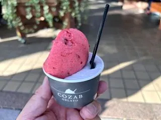 「山形県総合運動公園内にあるCOZAB …