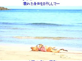 乾燥完了とは・・