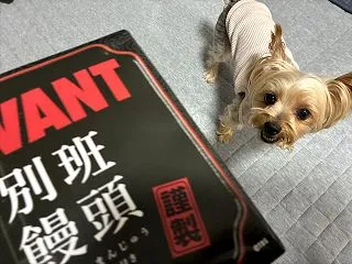 お土産シリーズ③