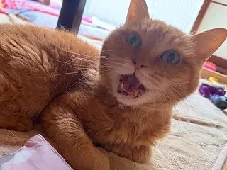 母の愛と余った部品🤣