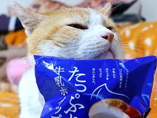 たっぷり牛乳ホイップパン