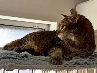 季節の変わり目？それとも、気まぐれ？