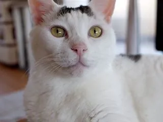 眠い 眠いの ボ～