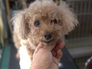 マロン君とベルちゃんとザクロ君