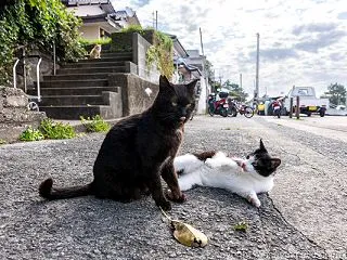 ダブルぺろり。