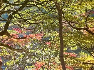 人間関係がうまくいっている人は何が違う？