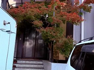 我が家のもみじと秋の味覚