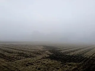 霧幻を行く