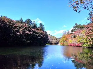 【速報】軽井沢 雲場池の紅葉（10/15…