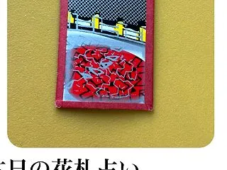 本日の花札占い