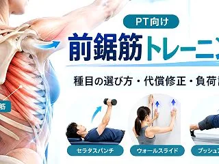 前鋸筋トレーニング｜種目の選び方・代償修…