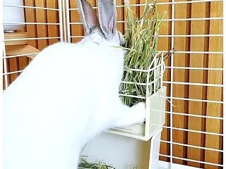 おもちにも値上げの大波が…