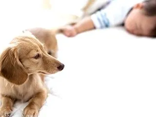 離婚したほうがいいとき、しないほうがいい…