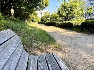 散歩中に出会った外国人の方に教えられたこ…