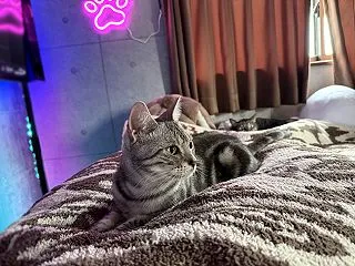 洗い立てお布団で