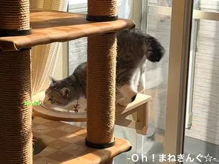 お久しぶりです♪