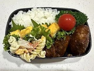R8.10.16 煮込みハンバーグ弁当