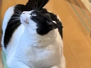☆ダイジョブ！交換するね♪