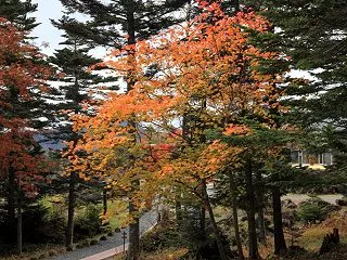 片品村 日光白根山 天空の庭園散歩 その…