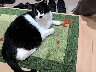 美容室を卒業！？初めてのサンキューカット…