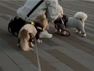 こんな事がありました