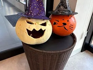 ハロウィンフォトスポット【壬生町】道の駅…