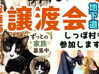 10/17（土）譲渡会in地下道