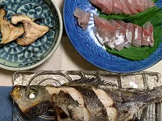 お魚天国、、すぎる