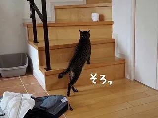 監視社会。
