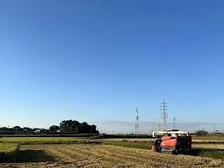 収穫の秋