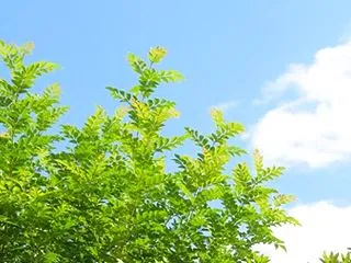 アトレ川崎♪ でしゅ!!