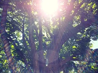 隠していた本音が表へ出てきそうなとき