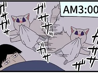 深夜から早朝の「メンヘラ猫の身勝手な日常…
