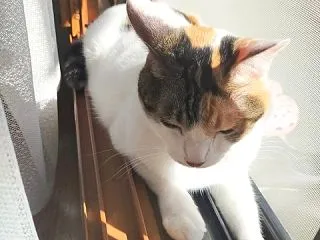 何を食べても美味しい