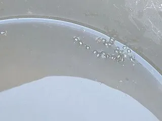 大根のピンチ！虫の襲来で急遽「種まき大作…