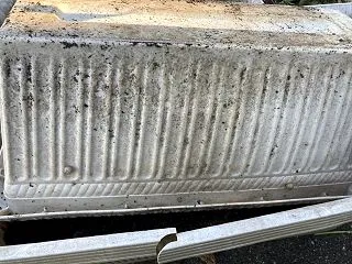 ヤモリにびっくり