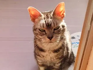 そんな・・物好き・・