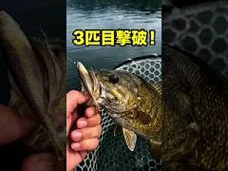 アシストフックを付けている？