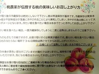 今年ラストの桃