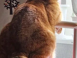 下心全開でいってきます＼( 'ω')／