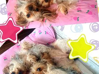 ゴロゴロしてます