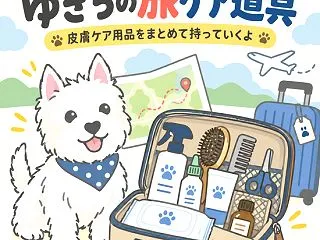 【九州の旅の準備】 これだけは持っていく…