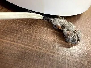 ザワワ…ザワワ…に男子わめく