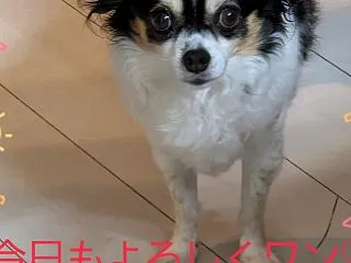 難易度が上がっていく…バイト(￣▽￣;)